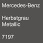 Preview: Mercedes-Benz, Herbstgrau Metallic, 7197.